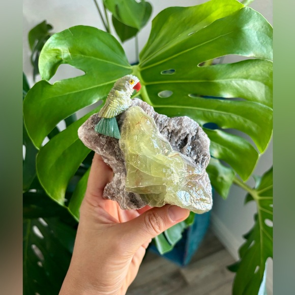 Parrot carving on Green Calcite - Picture 4 of 7